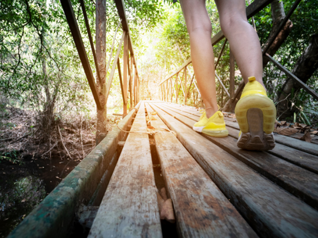 Adventurous walk across a rustic wooden bridge surrounded by lush greenery, bathed in warm sunlight.