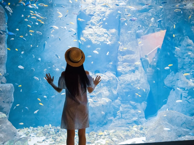 Woman wearing a sun hat looking into a large aquarium filled with colorful fish.