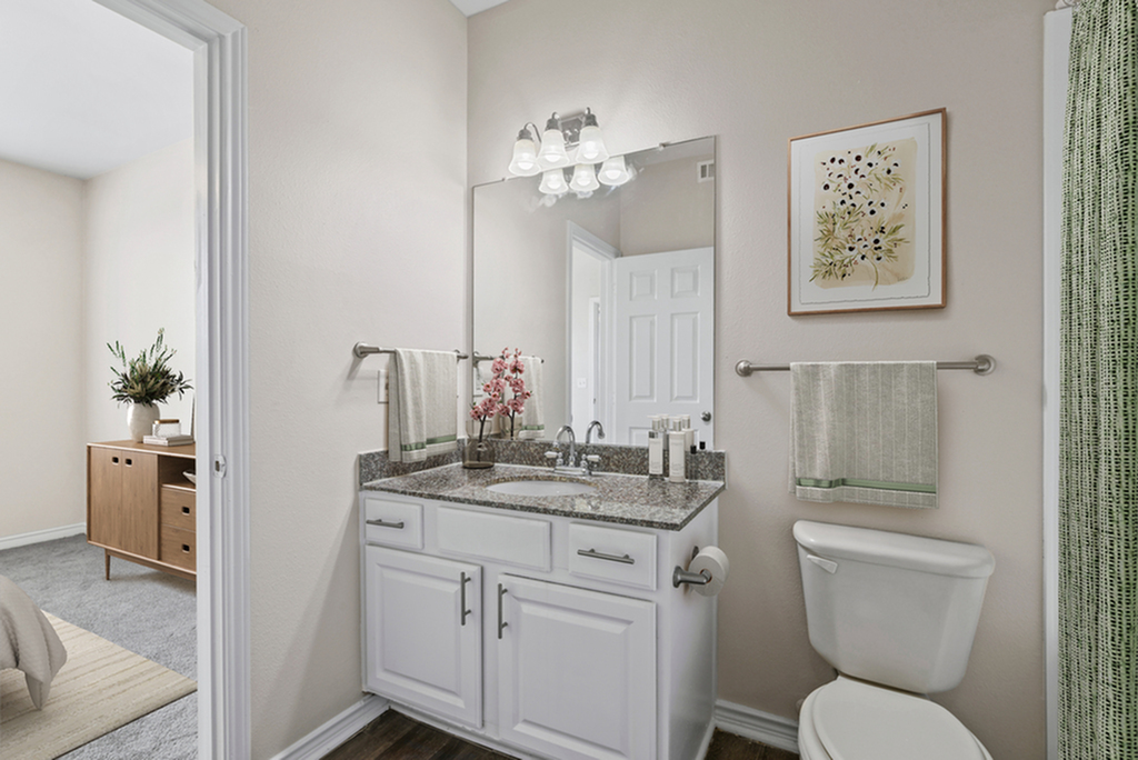 Bathroom with granite counters, vanity lighting and mirror, with toilet, towel rack with towel, and wall art