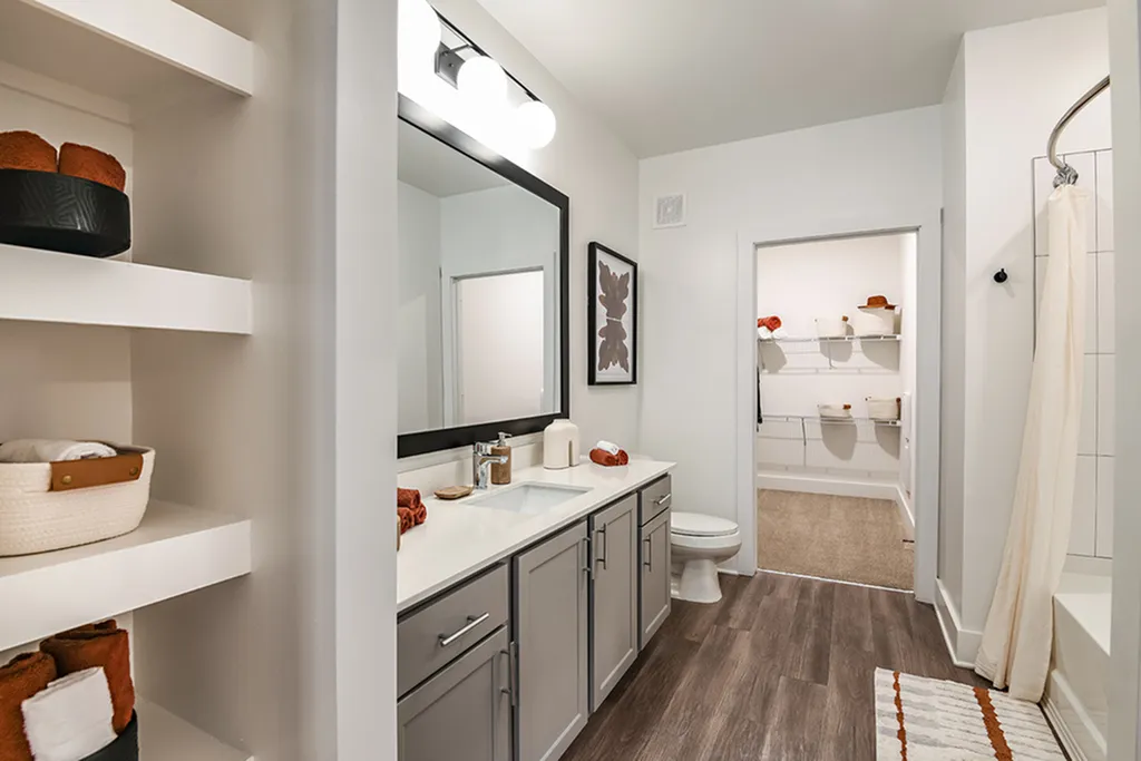 Sleek modern bathroom with elegant vanity, ample shelving, and a cozy walk-in closet.
