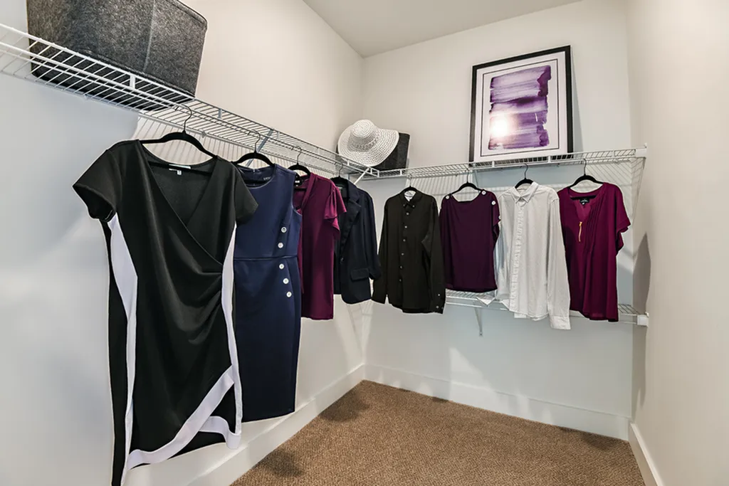 Spacious walk-in closet showcasing stylish hanging clothes and a decorative framed artwork for a modern touch.