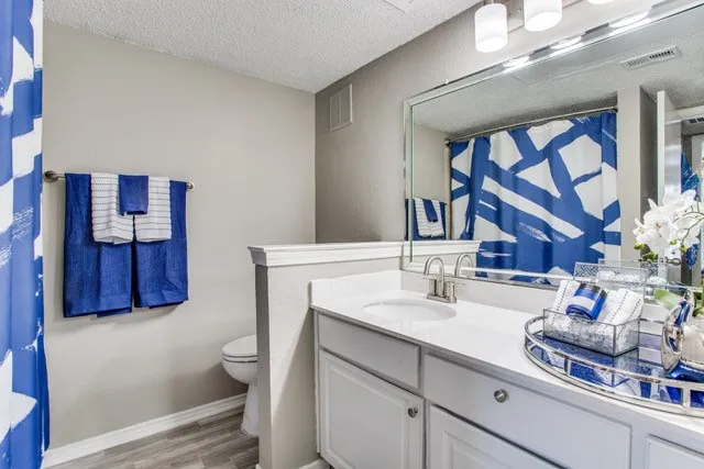 Contemporary bathroom with elegant fixtures, navy and white decor, and large mirror with modern lighting.