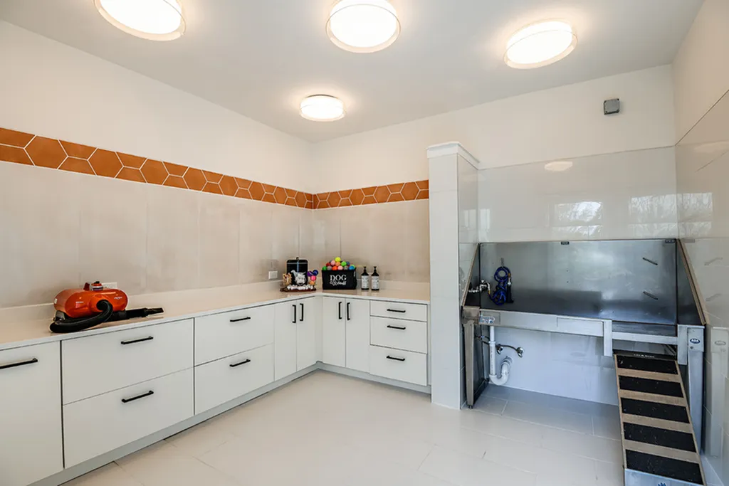 Modern utility room with sleek white cabinets, vibrant orange tile accents, and a professional pet wash station.