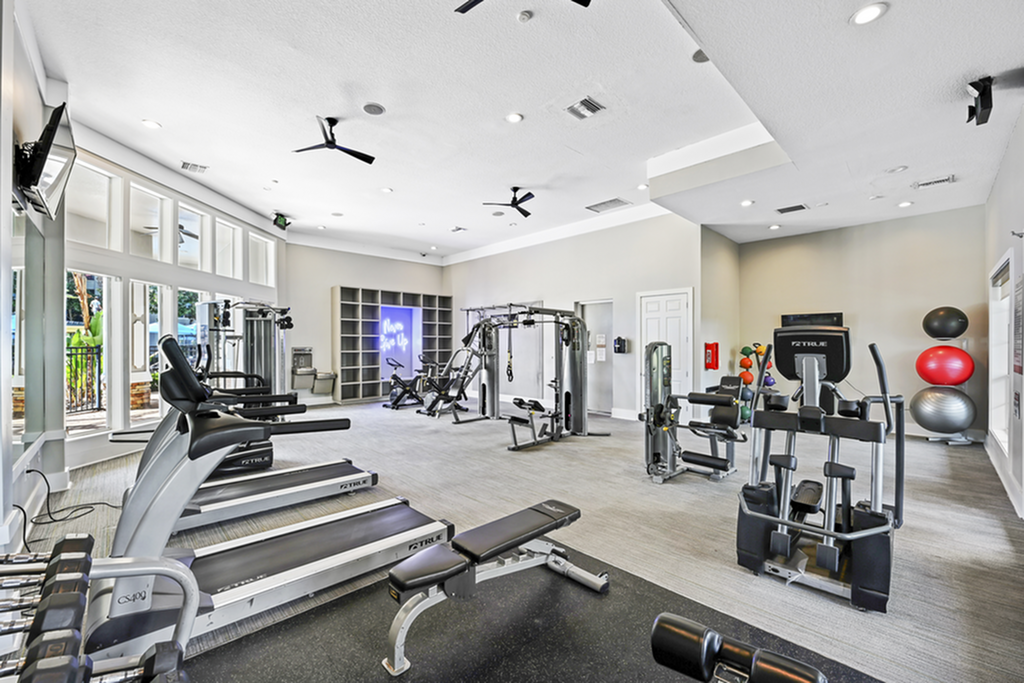 Modern fitness center featuring state-of-the-art exercise equipment, bright natural lighting, and a sleek, spacious design.