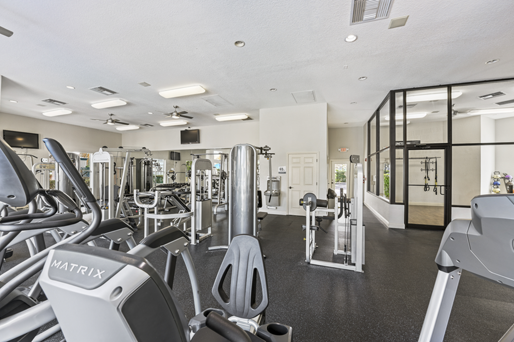 Modern fitness center equipped with state-of-the-art exercise machines and ample natural light.