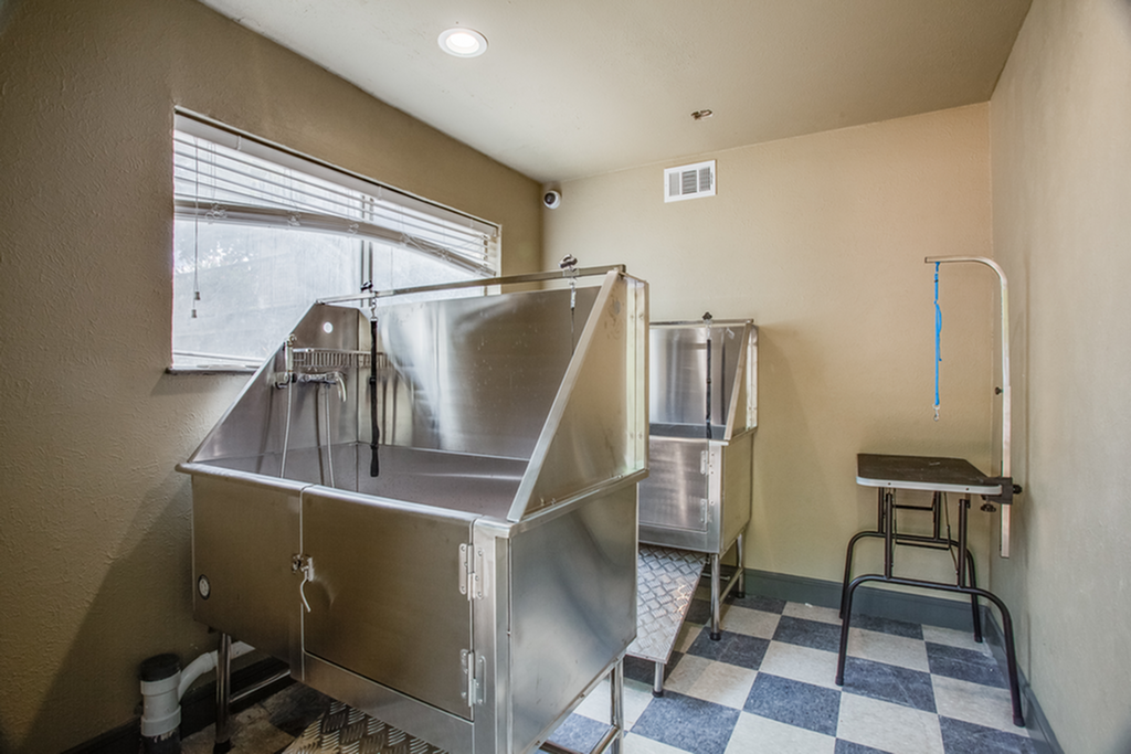 Modern pet grooming station with stainless steel wash basin and checkered flooring, ideal for apartment amenities.