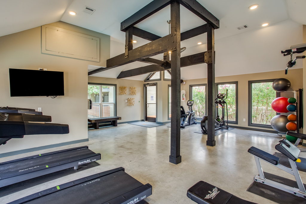 Spacious, modern fitness center with state-of-the-art treadmills, elliptical machines, and vibrant exercise balls, surrounded by large windows for natural light.