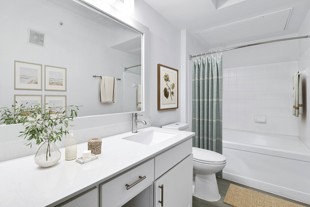 Elegant modern bathroom featuring a sleek vanity, large mirror, and stylish decor with natural accents.