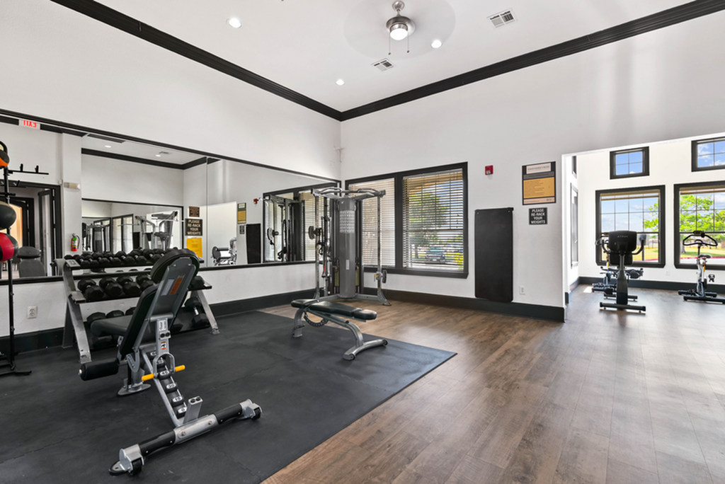Bright and modern fitness center featuring state-of-the-art equipment and floor-to-ceiling windows for an energetic workout environment.