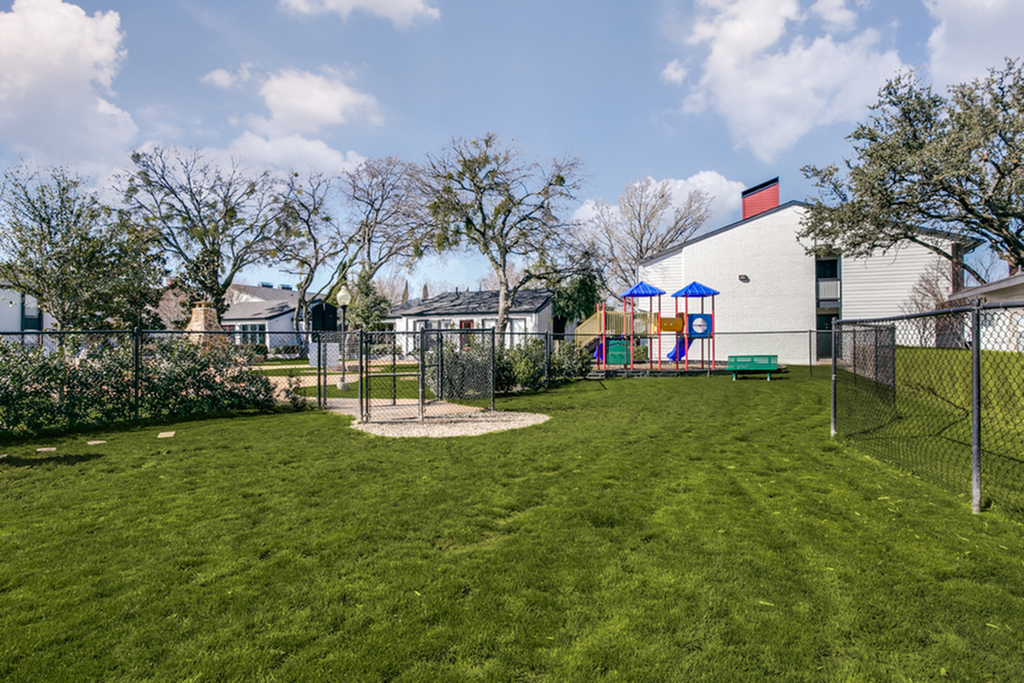 Inviting dog park with lush green grass, vibrant play equipment, and surrounding trees for a tranquil setting.