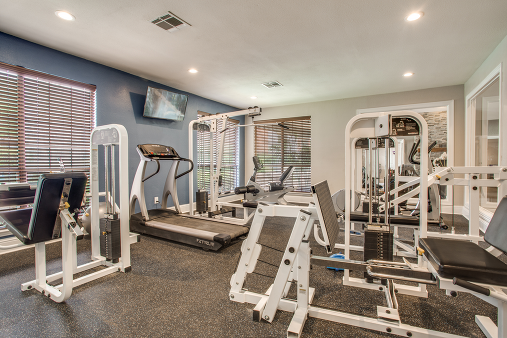 Modern fitness center with state-of-the-art equipment, offering a bright and spacious environment for a comprehensive workout experience.