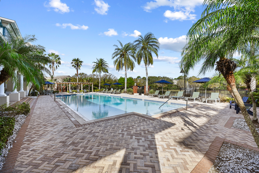 Luxurious poolside oasis with lush palm trees, ample sun loungers, and a sparkling blue swimming pool under a vibrant blue sky.