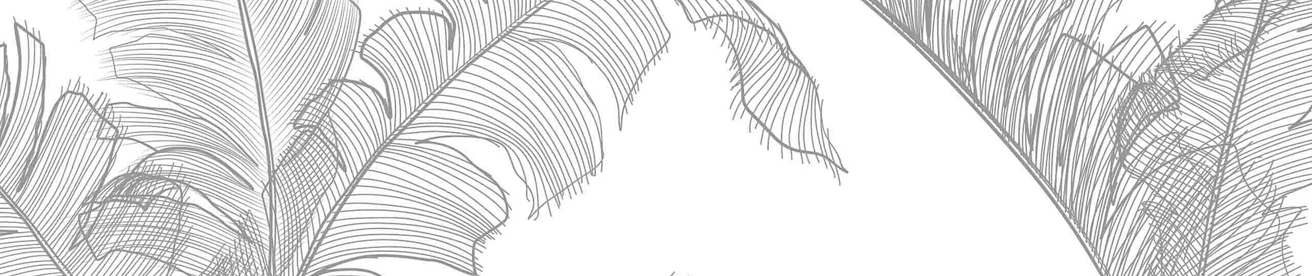 Intricate line art of banana leaves creating a serene and elegant design.