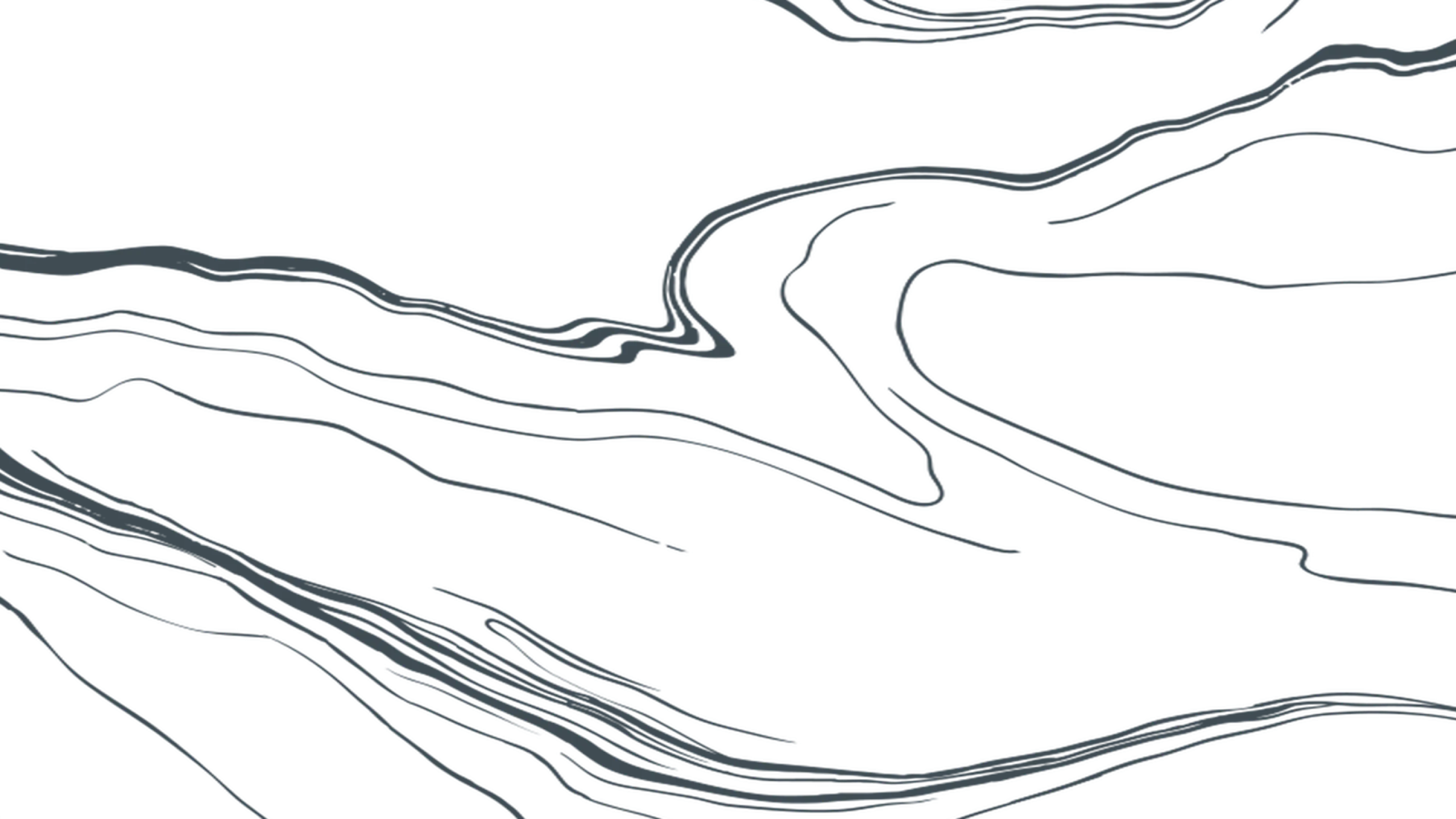 Abstract topographic map design with flowing contour lines in dark gray.