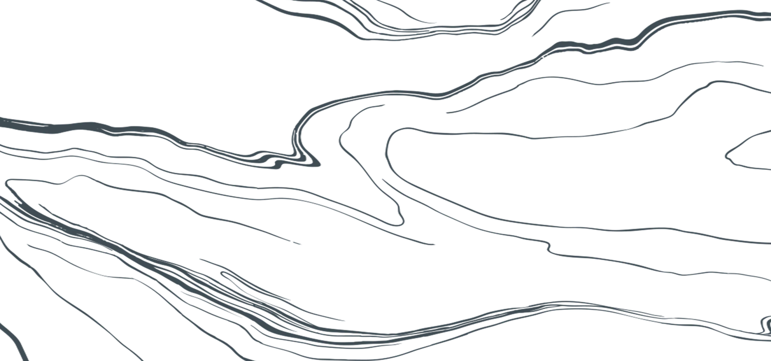 Contemporary contour map with smooth, flowing lines creating a dynamic and abstract pattern.