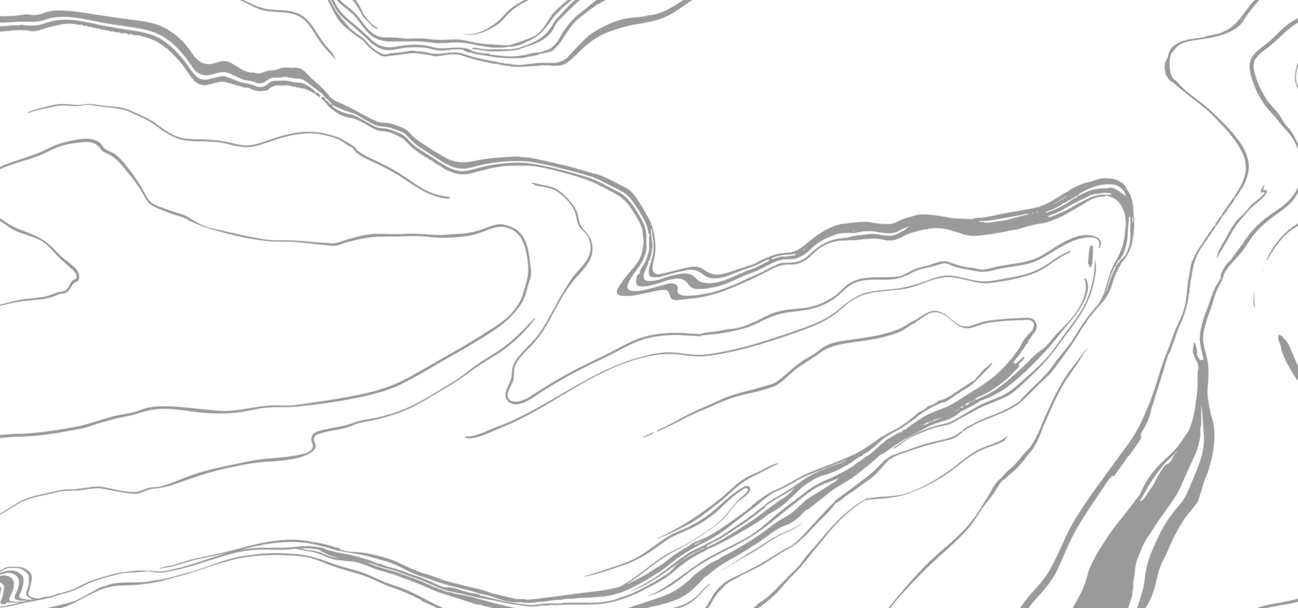 Abstract grayscale topographic pattern with fluid, flowing lines creating a dynamic and modern artistic effect.