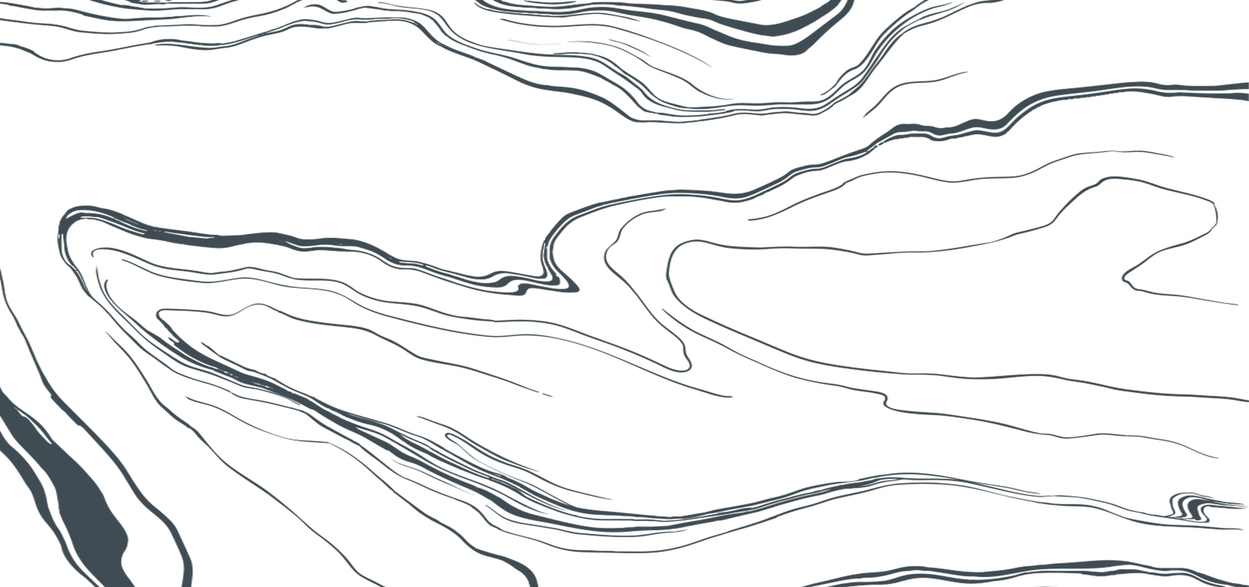 Abstract topographic pattern with flowing lines creating a dynamic black and gray texture.