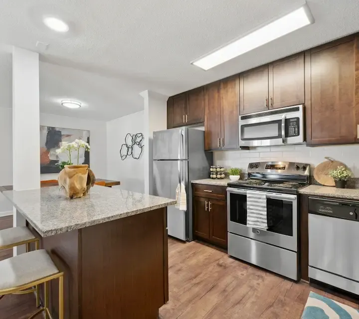 Modern kitchen with sleek stainless steel appliances, warm wooden cabinetry, and elegant granite countertops, creating a stylish culinary space.