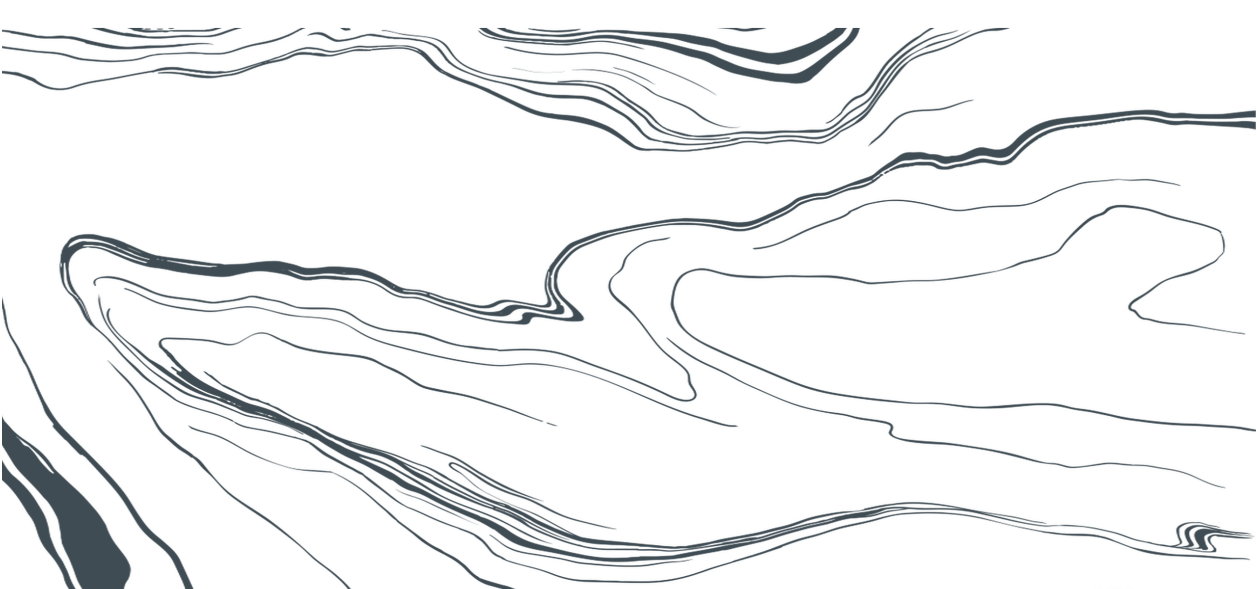 Contemporary floor plan illustration with fluid, organic lines creating an artistic map-like design.
