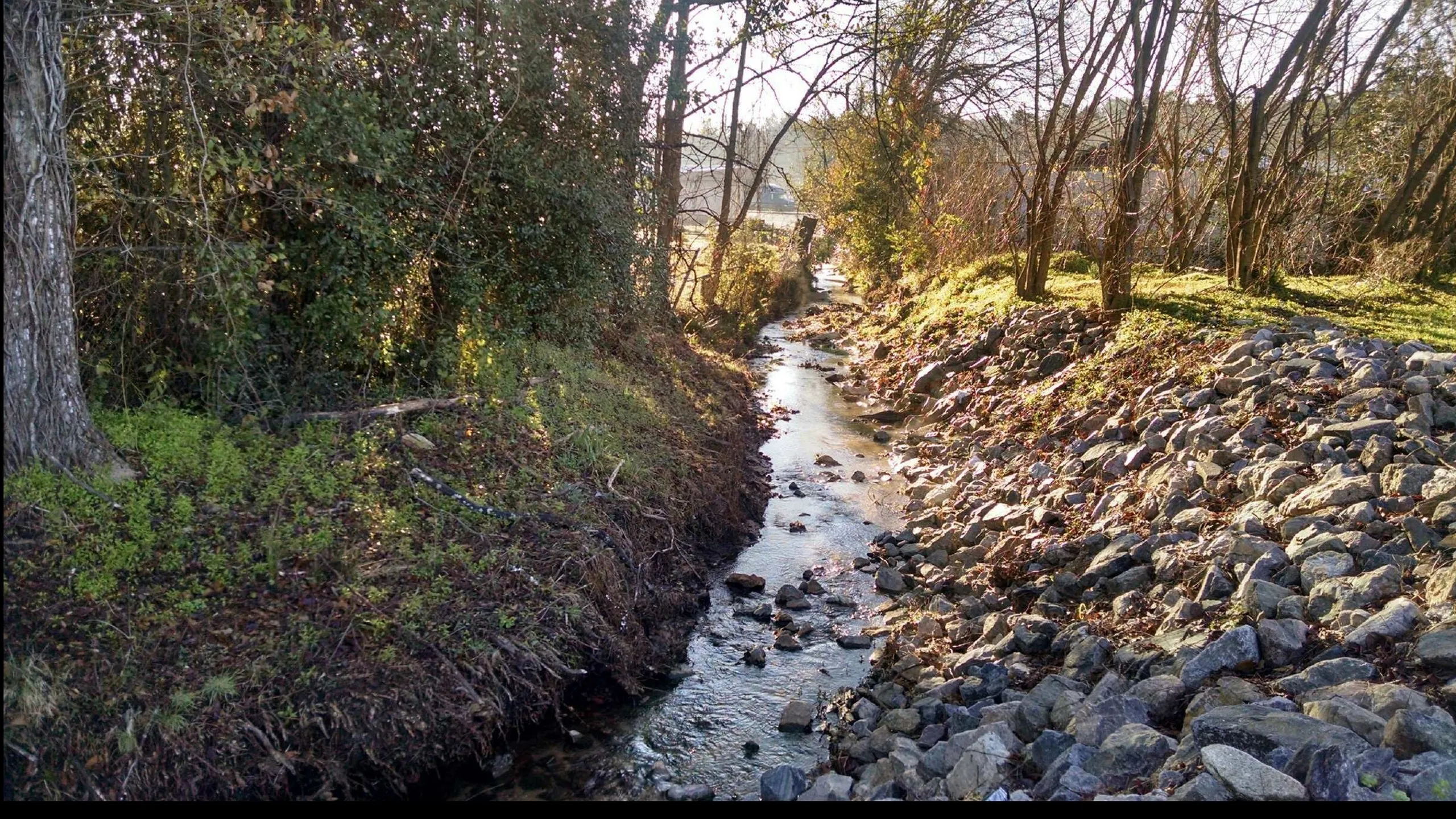 Creek