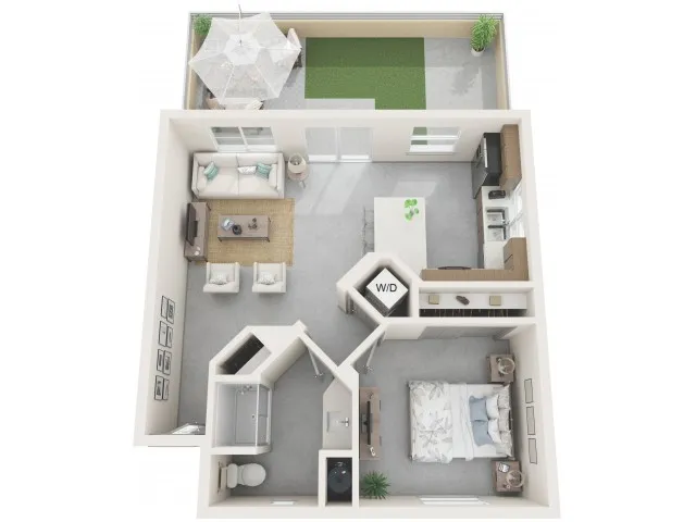 1Bd1Ba_634SF_Cholla