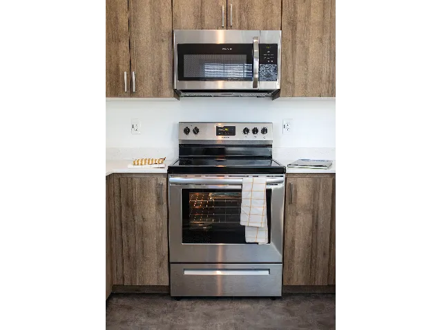 Electric Oven with Range