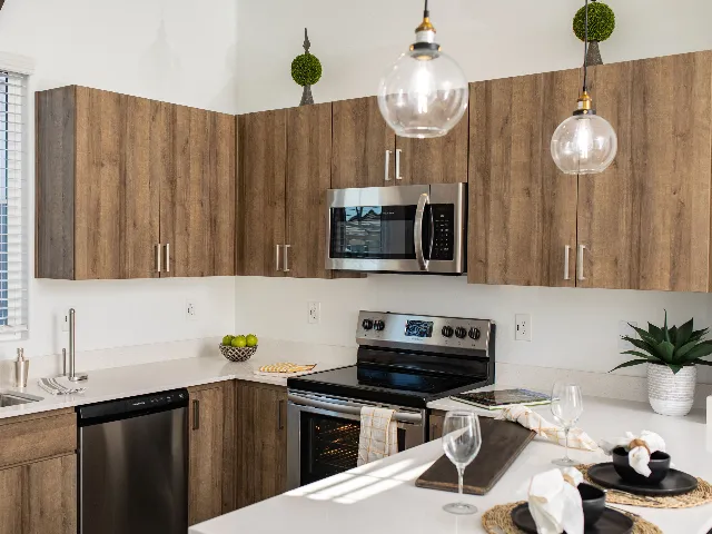 Stainless Steel Appliances