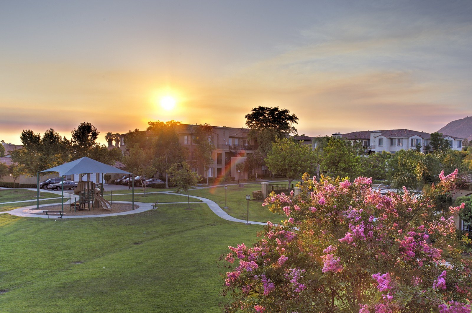 stella-at-towngate-sunset