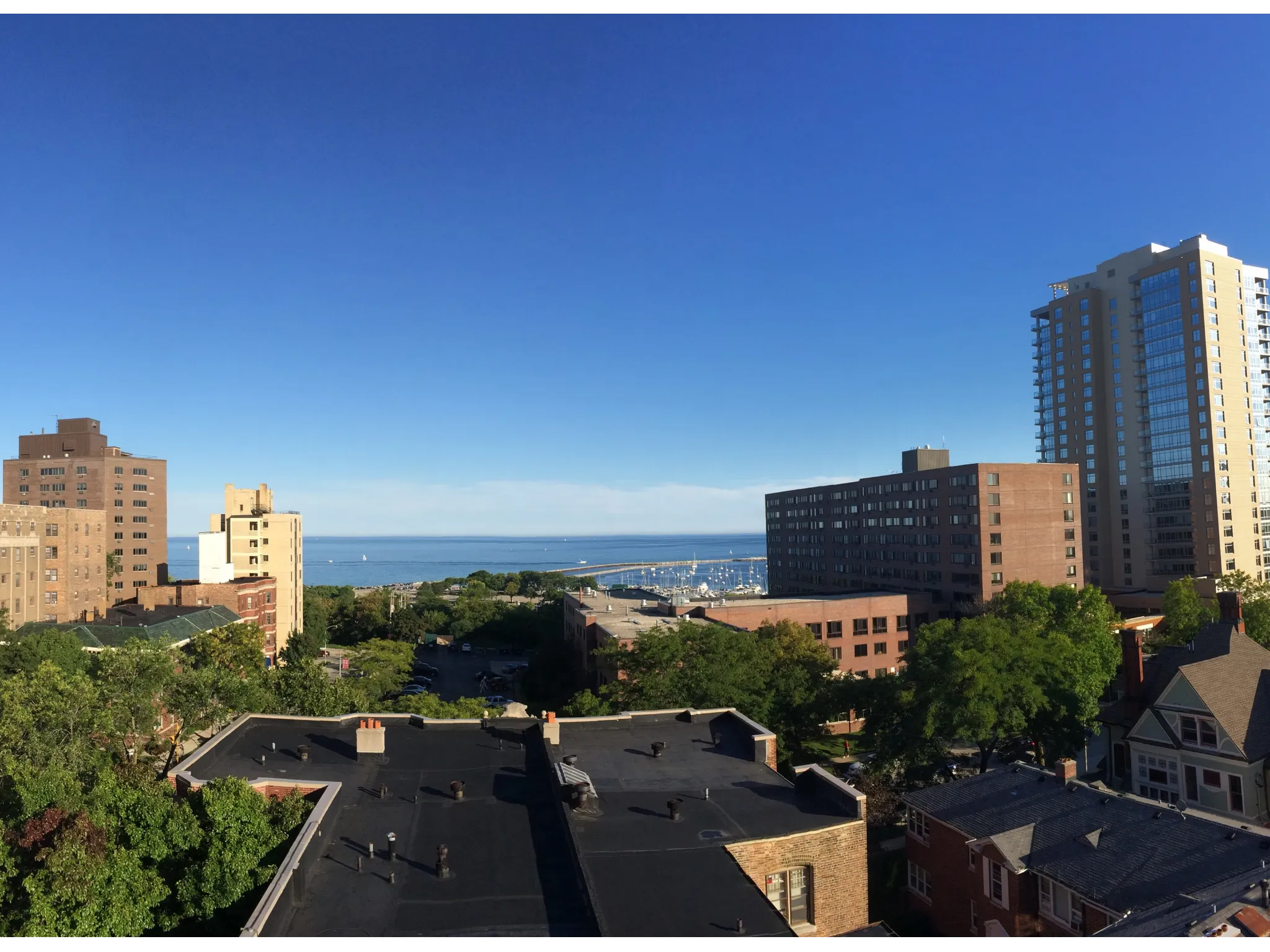 View from Viking