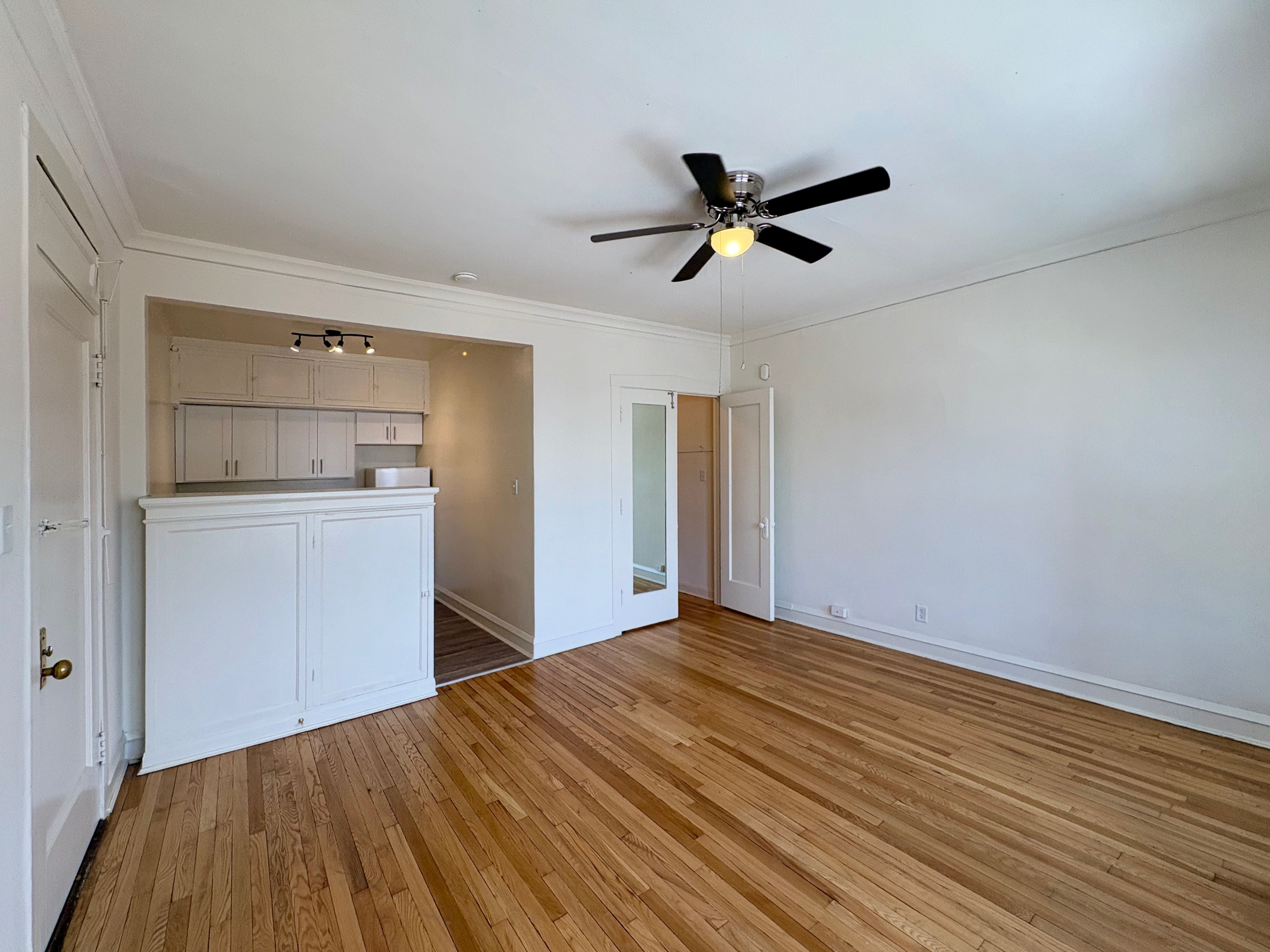 Spacious Studio Living Area - 301