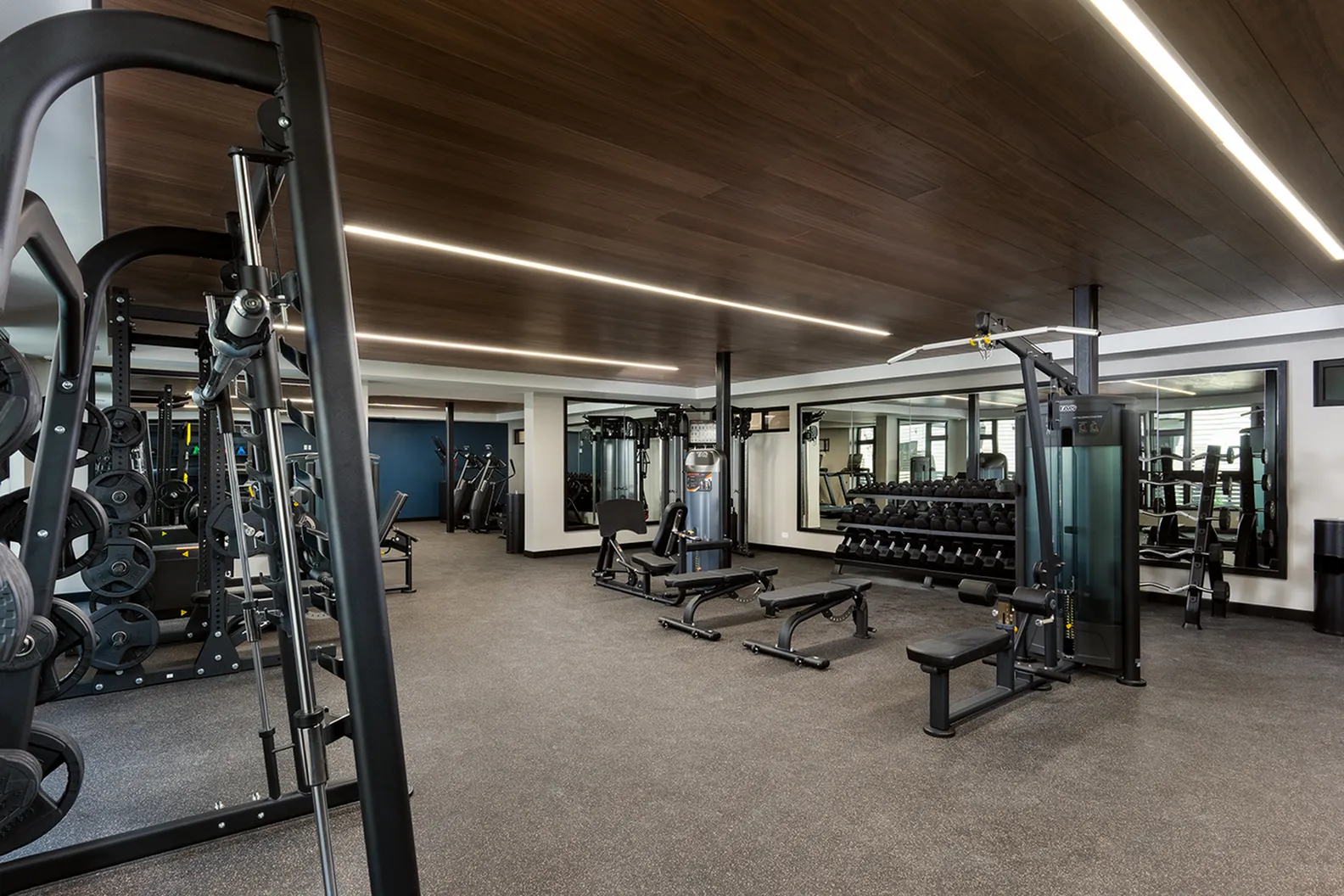 NOVA - Modern Gym