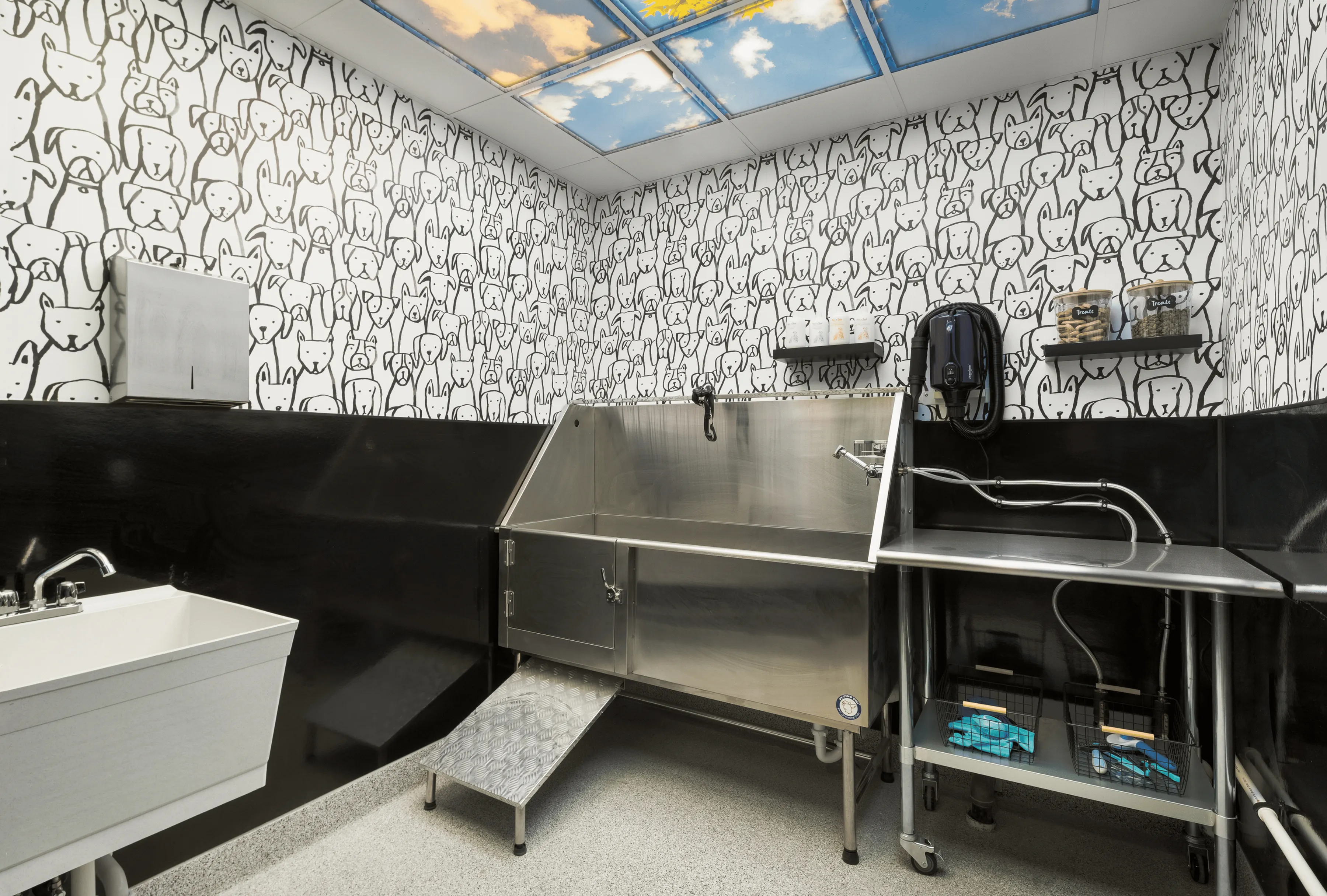 NOVA - Pet Grooming Station