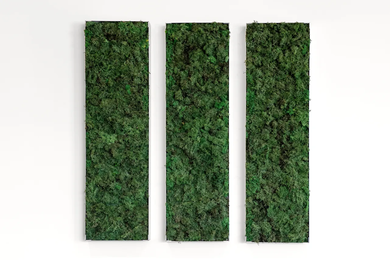 Moss Wall