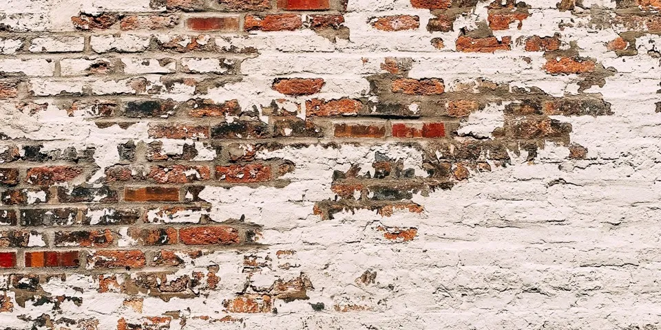 wall