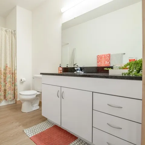Trio Model Bathroom