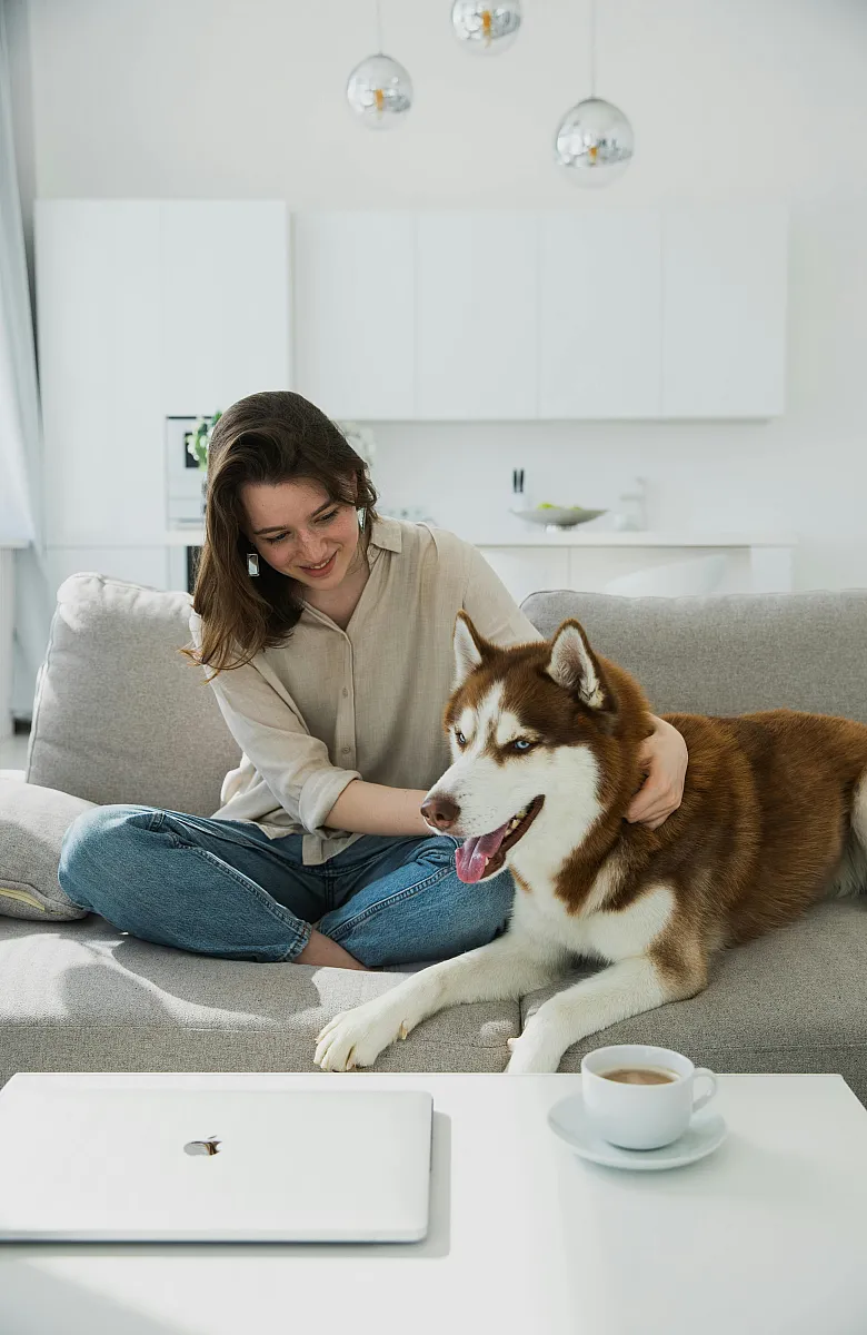 Bright apartment living room with a cozy sofa, modern decor, and a joyful person enjoying time with a friendly husky.