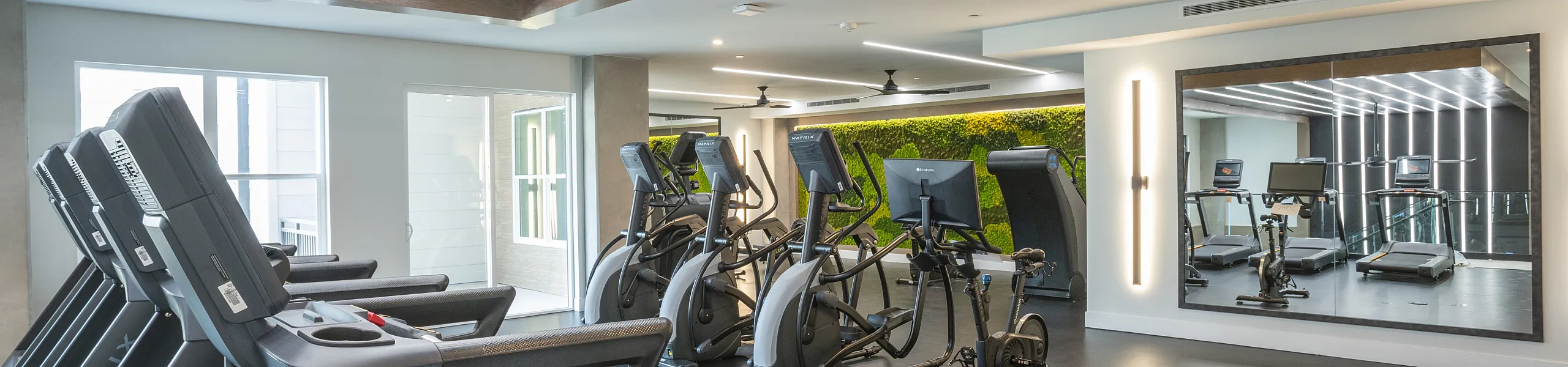 Modern fitness center with state-of-the-art treadmills and elliptical machines, featuring sleek lighting and a stylish green wall for an inspiring workout environment.