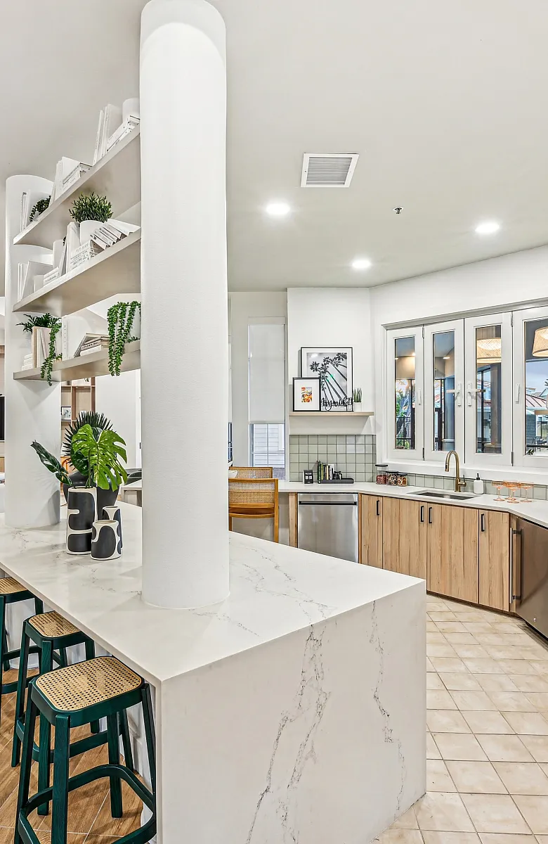 Bright and modern open-plan kitchen and living area with elegant wood flooring, stylish decor, and abundant natural light.
