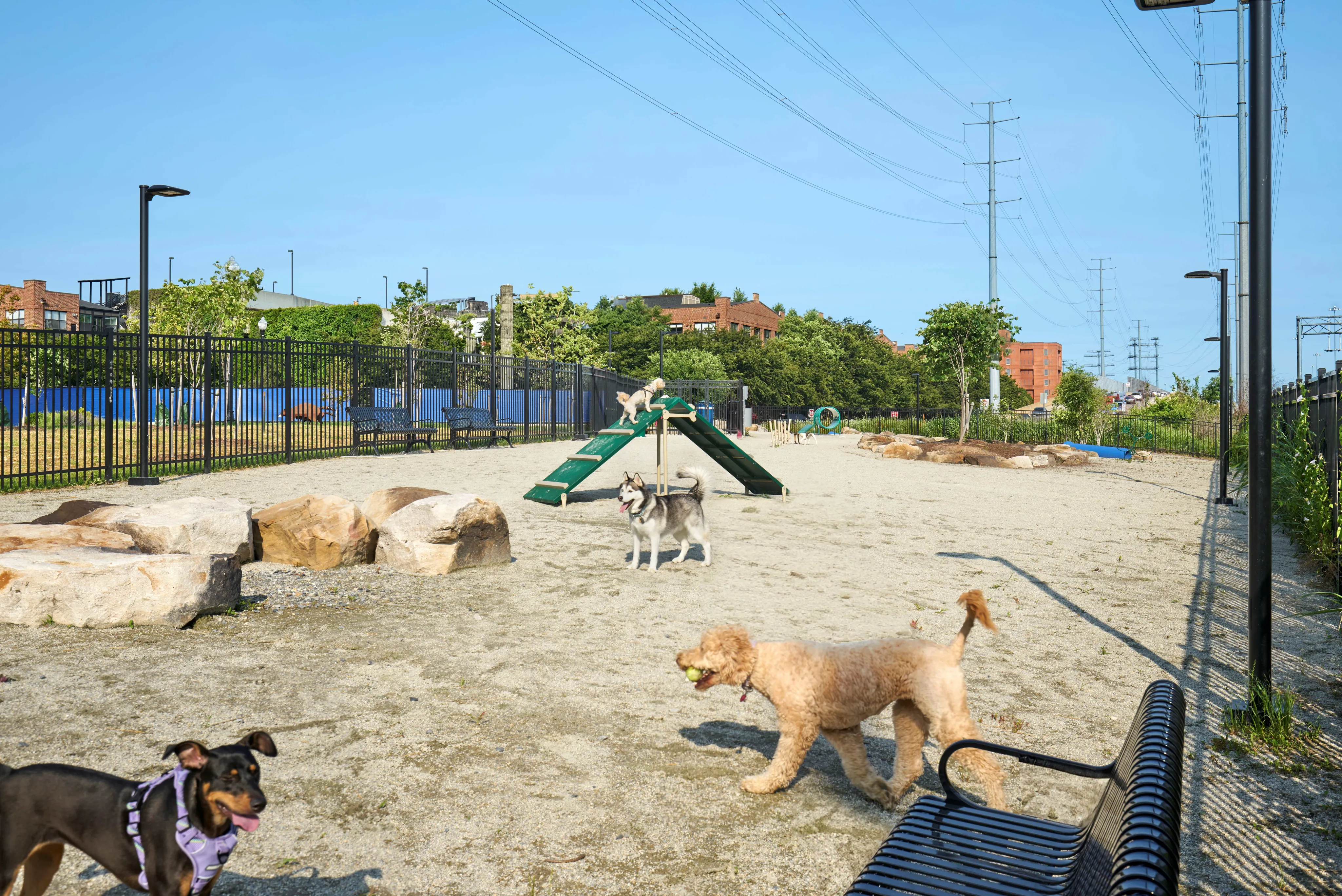 Pet-friendly living with no breed restrictions at  Meridian at Eisenhower Station-image