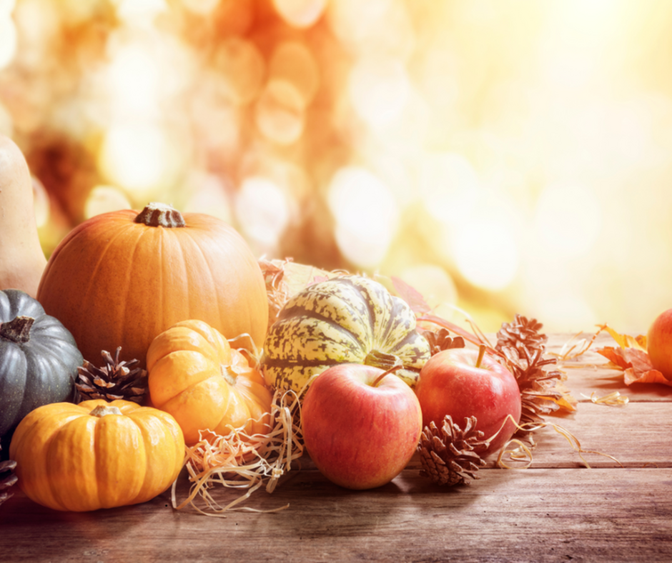Your Guide to Thanksgiving Events Near Carlyle Place-image