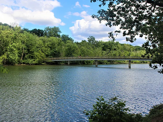 Roosevelt Island | Meridian at Courthouse Commons | Luxury Alexandria VA Apartments