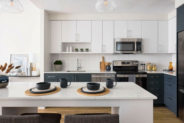 1Bs-5dm Floor Plan Kitchen | Meridian 2250 at Eisenhower Station | Luxury Alexandria VA Apartments