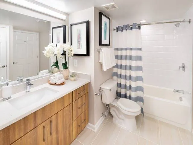 Newly Renovated Bathroom