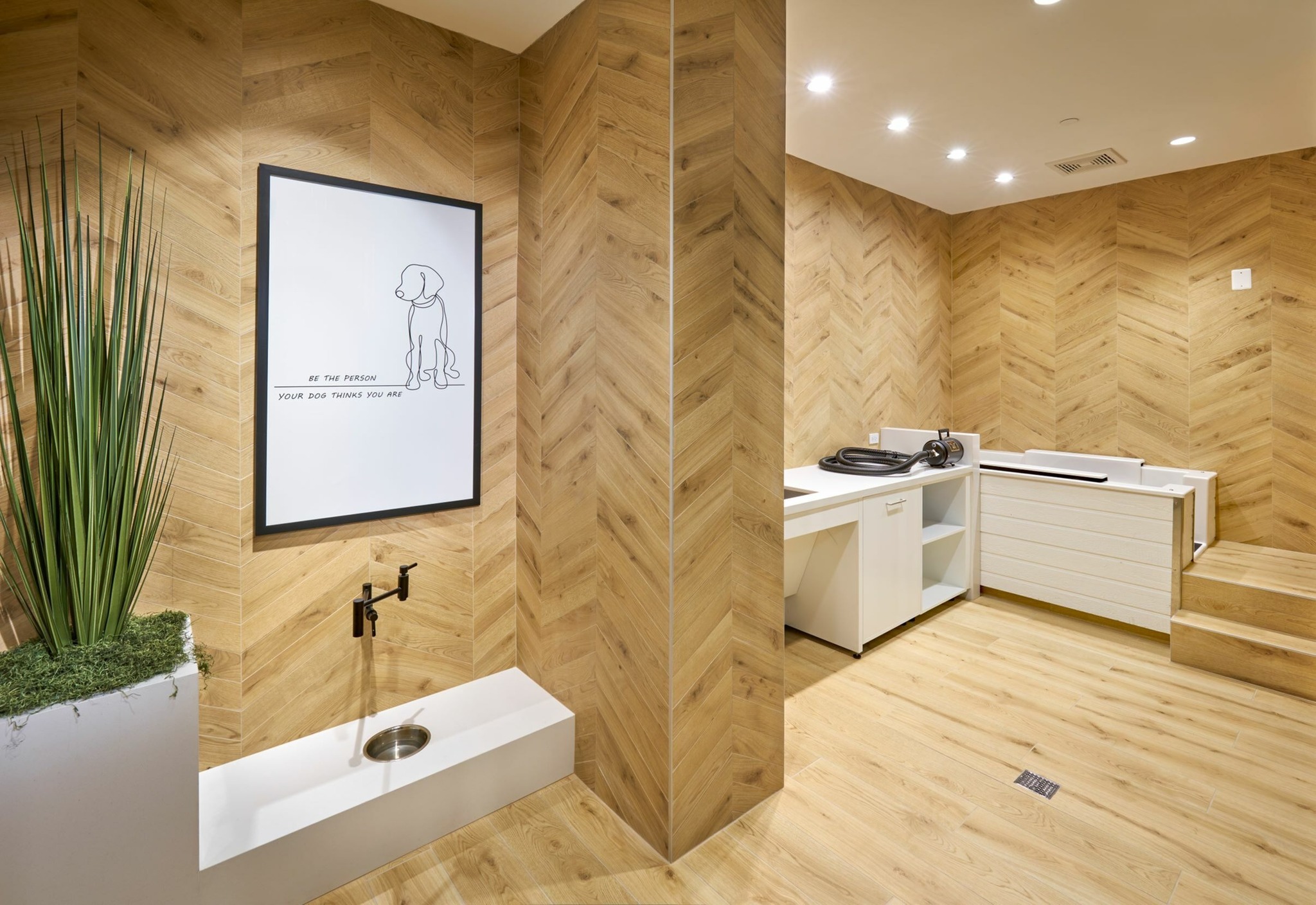 Image of the Brand New Pet Spa | Carlyle Place | Luxury Alexandria VA Apartments