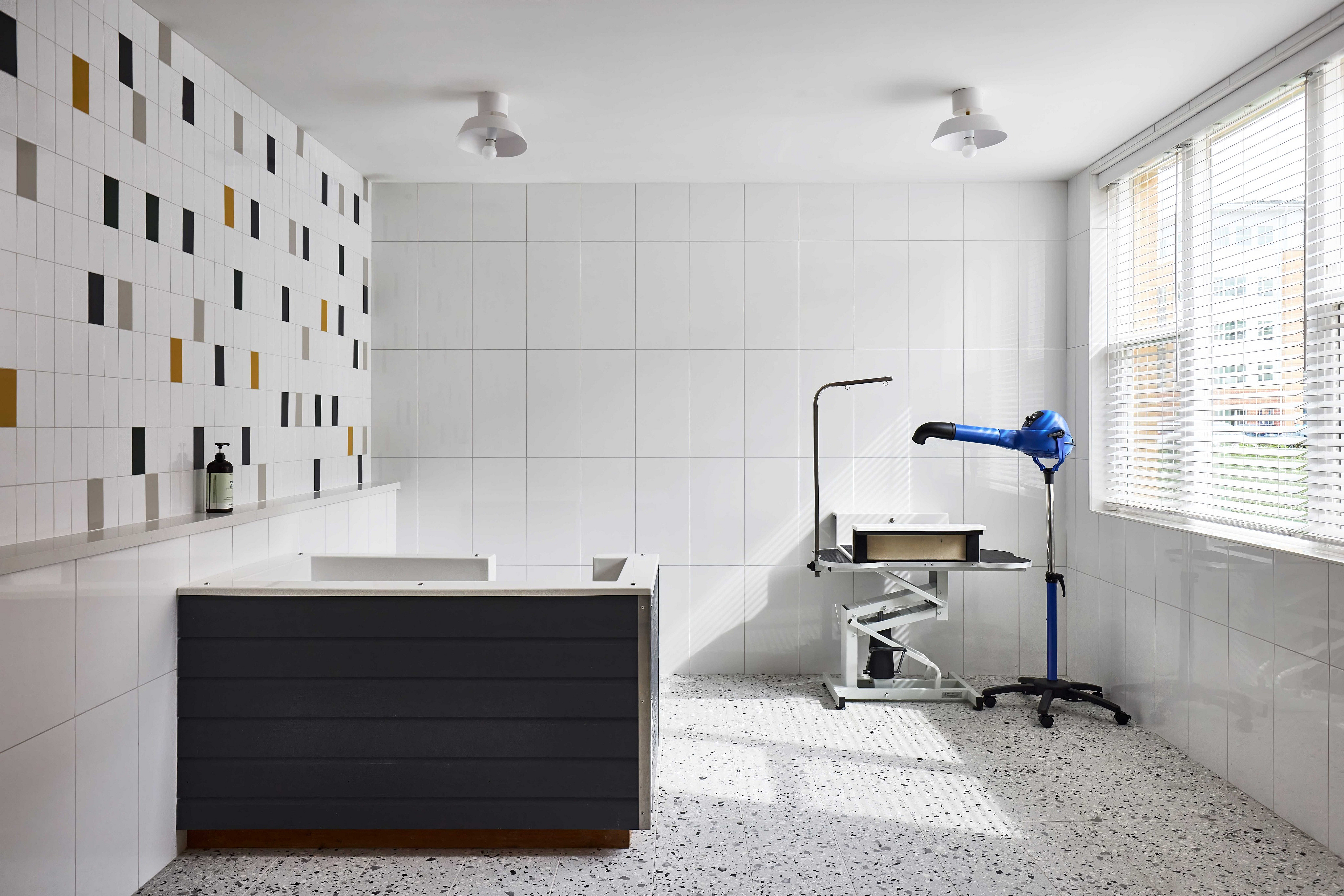 Pet Spa | Robinson at One University | Affordable Fairfax VA Apartments
