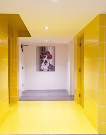 Pet Spa | Meridian on First | Navy Yard Apartments | Washington DC Apartments