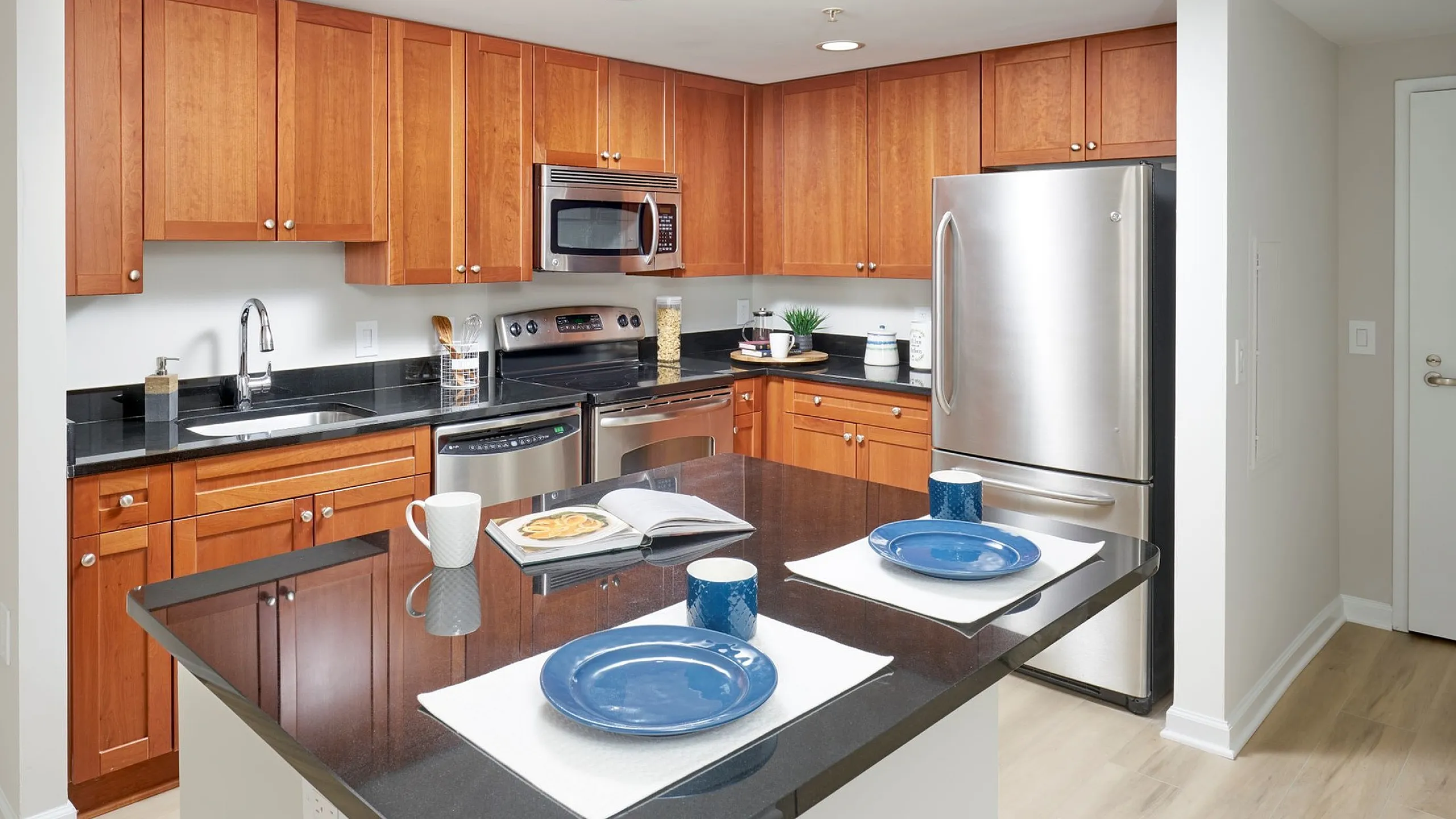 Renovated Kitchen | Carlyle Place | Alexandria VA Apartments