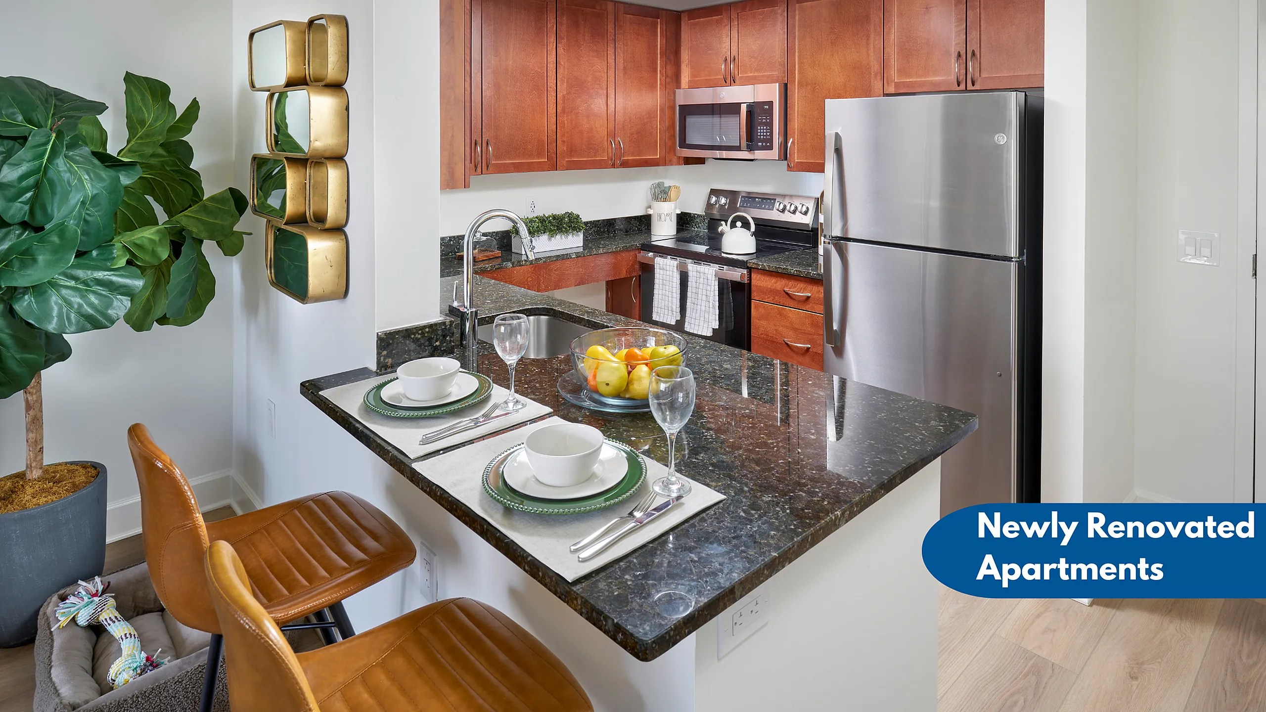 Photo of a Renovated Kitchen Saying Newly Renovated Apartments | Meridian at Eisenhower Station | Apartments Alexandria