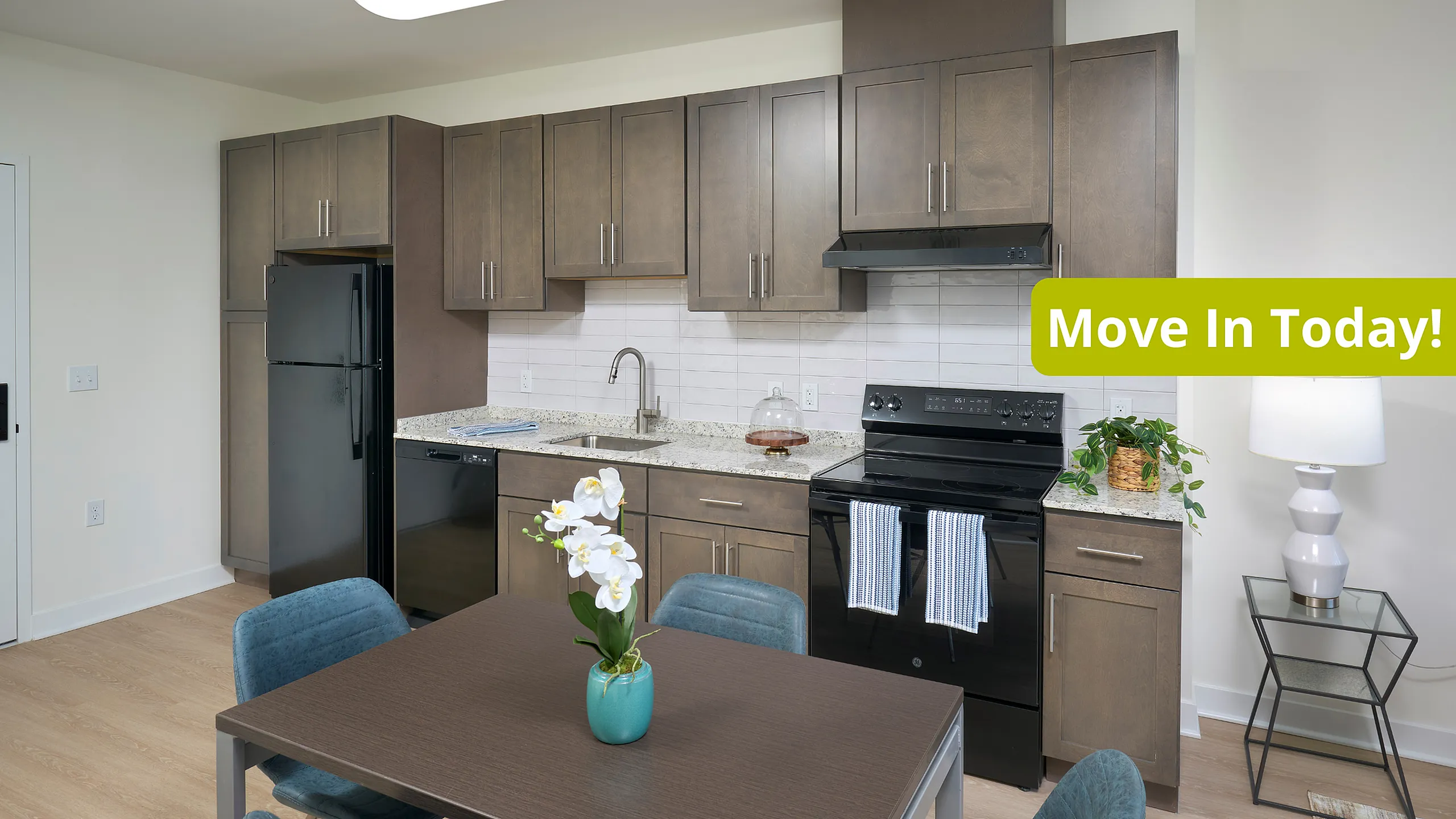 Photo of a Kitchen With a Banner Saying Move In Today! | Indigo at McLean Station | Affordable Tysons Corner Apartments | Affordable Fairfax Apartments | Affordable McLean Aparments