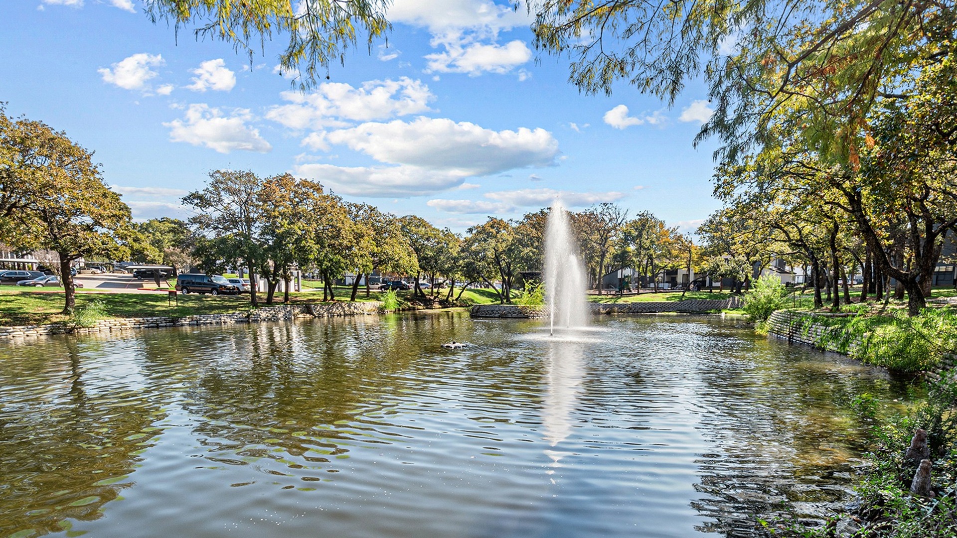 pond